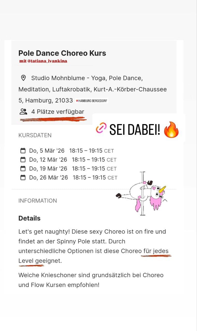 Pole Dance Choreo Kurs
