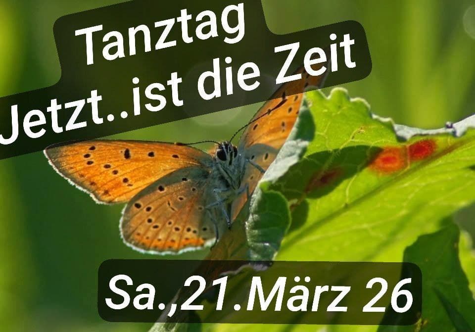 TanzSEIN - Tanztag