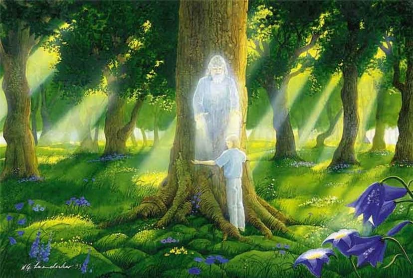 Petras Heilungsreise