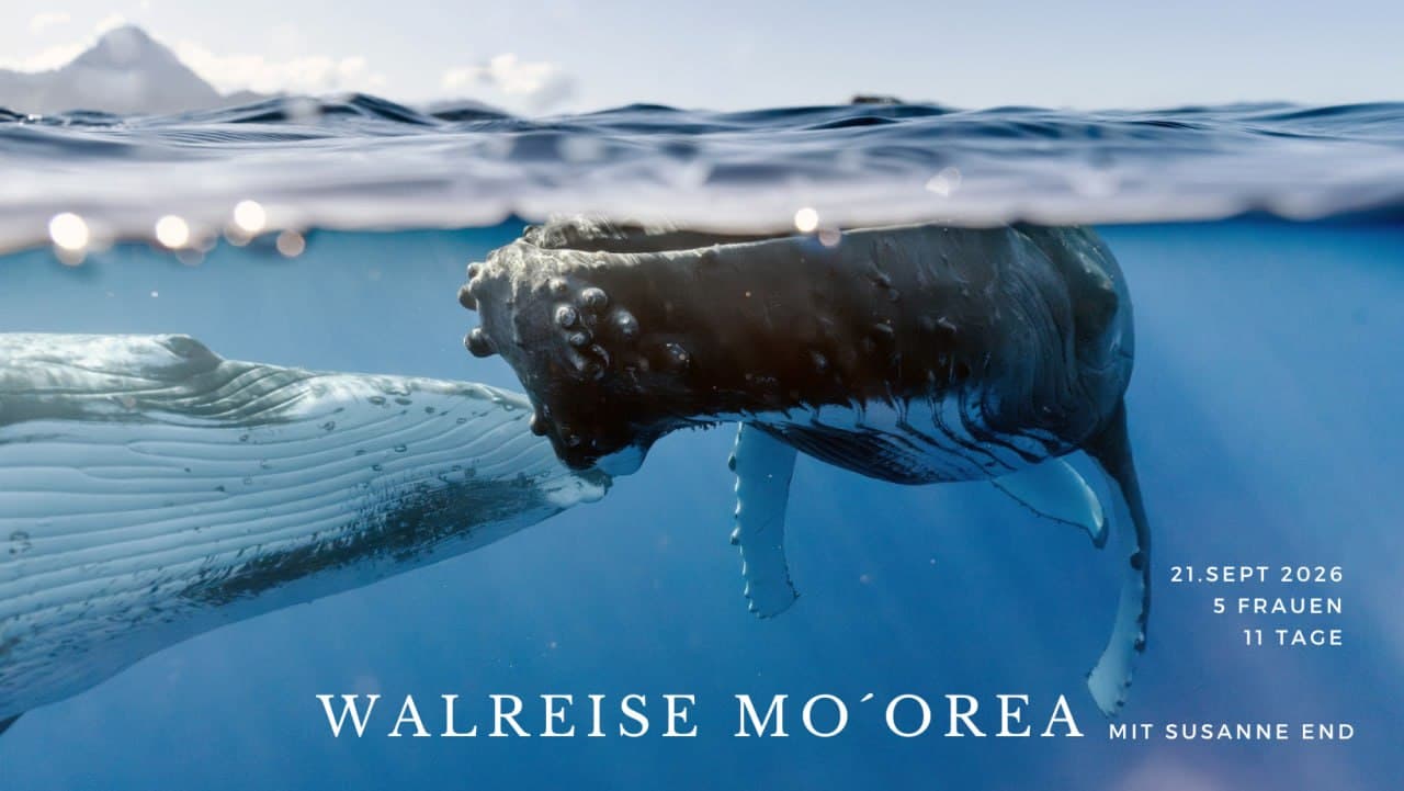 Frauen-Retreat auf Mo´orea